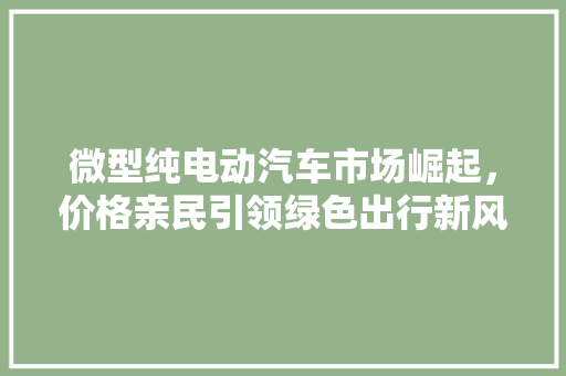 微型纯电动汽车市场崛起，价格亲民引领绿色出行新风尚