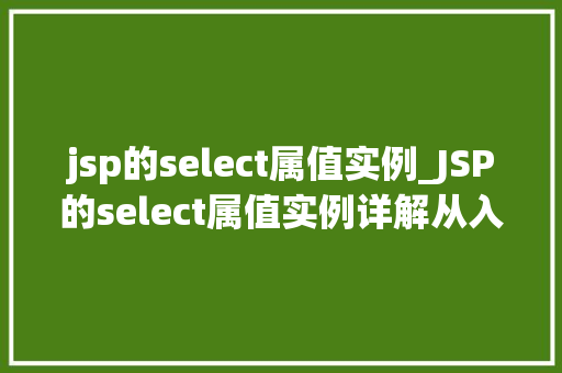 jsp的select属值实例_JSP的select属值实例详解从入门到精通