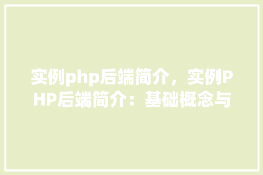 实例php后端简介，实例PHP后端简介：基础概念与实例介绍