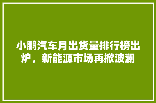 小鹏汽车月出货量排行榜出炉，新能源市场再掀波澜