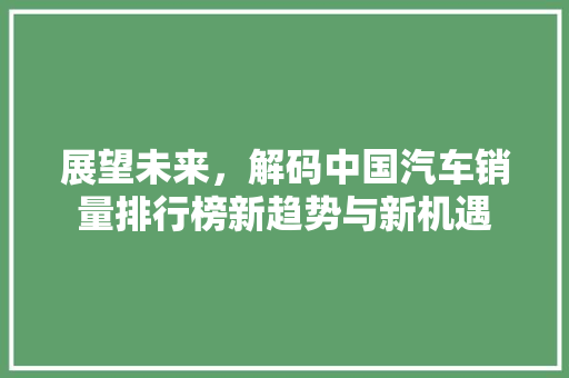 展望未来，解码中国汽车销量排行榜新趋势与新机遇