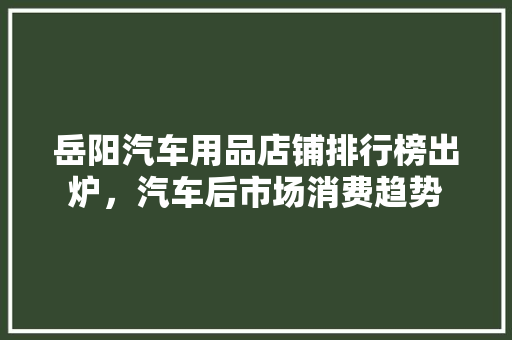 岳阳汽车用品店铺排行榜出炉，汽车后市场消费趋势