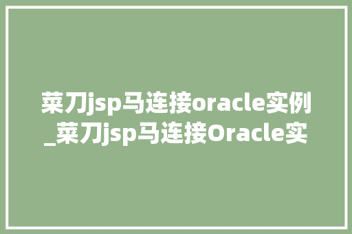 菜刀jsp马连接oracle实例_菜刀jsp马连接Oracle实例实战攻略与方法