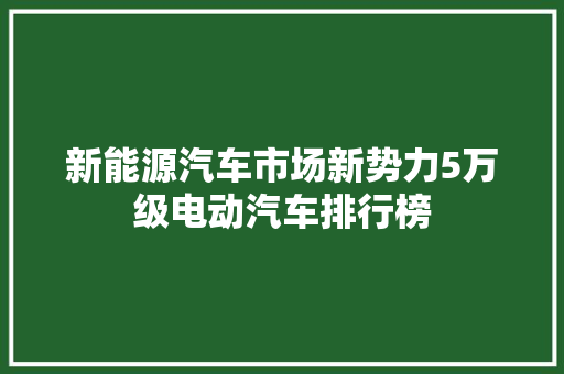 新能源汽车市场新势力5万级电动汽车排行榜