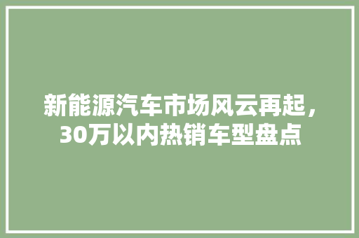 新能源汽车市场风云再起，30万以内热销车型盘点