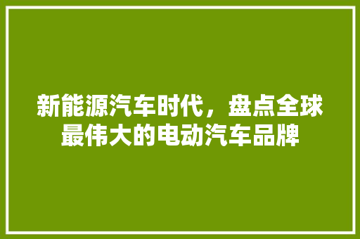 新能源汽车时代，盘点全球最伟大的电动汽车品牌
