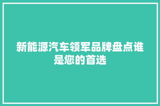 新能源汽车领军品牌盘点谁是您的首选