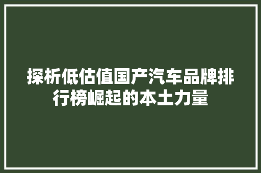 探析低估值国产汽车品牌排行榜崛起的本土力量  第1张