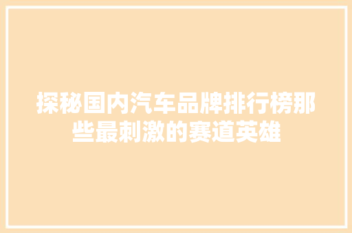 探秘国内汽车品牌排行榜那些最刺激的赛道英雄