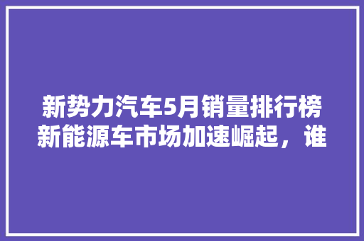 新势力汽车5月销量排行榜新能源车市场加速崛起，谁能脱颖而出  第1张
