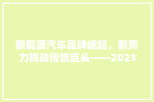 新能源汽车品牌崛起，新势力挑战传统巨头——2023新能源汽车品牌排行榜