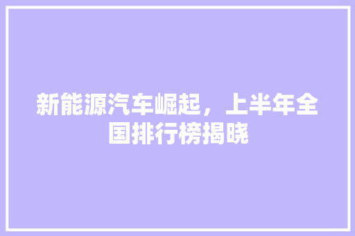 新能源汽车崛起，上半年全国排行榜揭晓  第1张