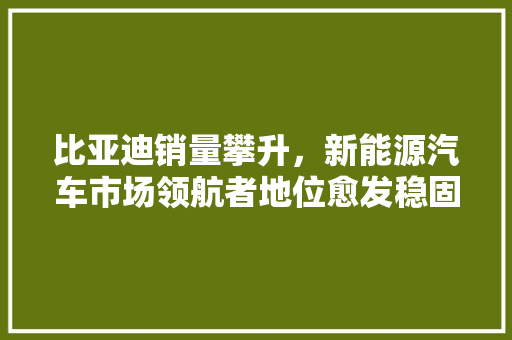 比亚迪销量攀升，新能源汽车市场领航者地位愈发稳固  第1张