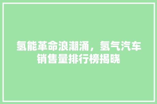 氢能革命浪潮涌，氢气汽车销售量排行榜揭晓  第1张