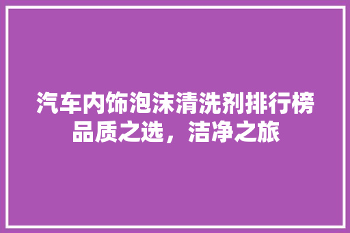 汽车内饰泡沫清洗剂排行榜品质之选，洁净之旅