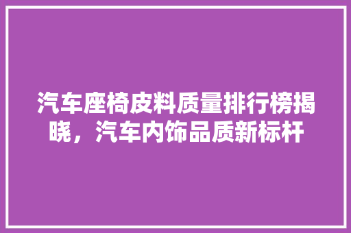 汽车座椅皮料质量排行榜揭晓，汽车内饰品质新标杆  第1张