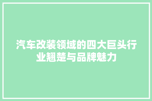 汽车改装领域的四大巨头行业翘楚与品牌魅力
