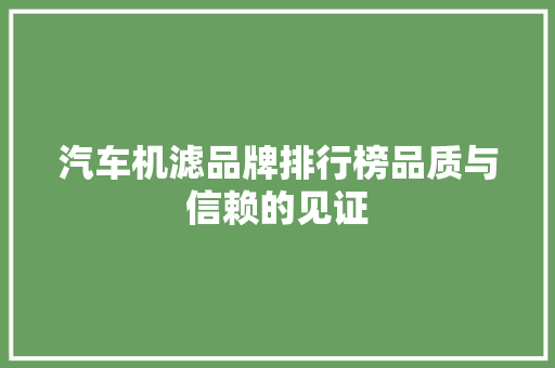 汽车机滤品牌排行榜品质与信赖的见证