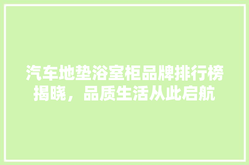 汽车地垫浴室柜品牌排行榜揭晓，品质生活从此启航  第1张