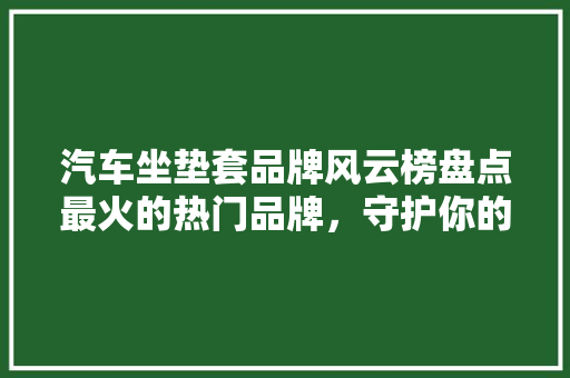 汽车坐垫套品牌风云榜盘点最火的热门品牌，守护你的驾驶舒适体验