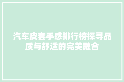 汽车皮套手感排行榜探寻品质与舒适的完美融合  第1张