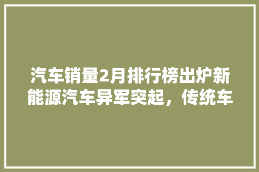 汽车销量2月排行榜出炉新能源汽车异军突起，传统车企面临挑战  第1张