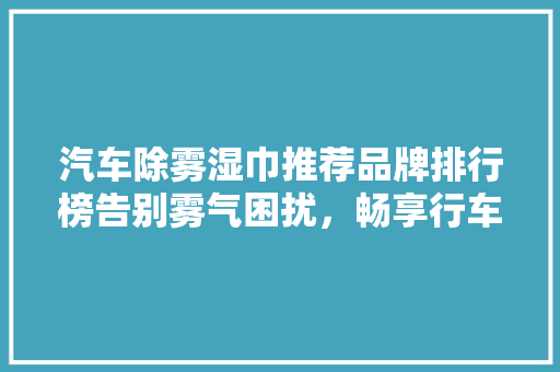 汽车除雾湿巾推荐品牌排行榜告别雾气困扰，畅享行车安全