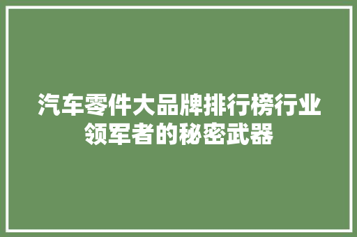 汽车零件大品牌排行榜行业领军者的秘密武器