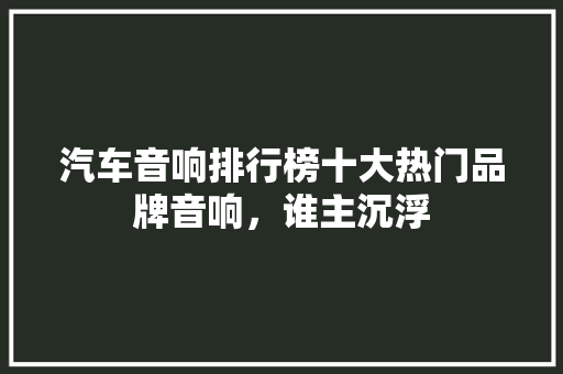 汽车音响排行榜十大热门品牌音响，谁主沉浮