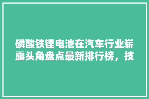 磷酸铁锂电池在汽车行业崭露头角盘点最新排行榜，技术突破与创新