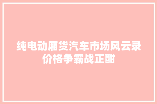 纯电动厢货汽车市场风云录价格争霸战正酣