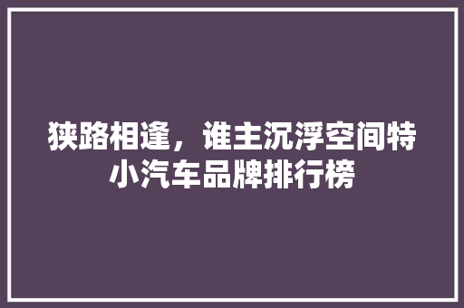 狭路相逢，谁主沉浮空间特小汽车品牌排行榜  第1张