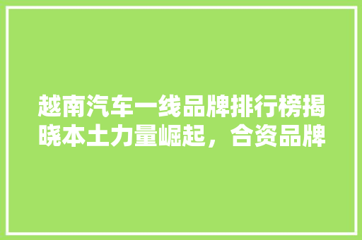 越南汽车一线品牌排行榜揭晓本土力量崛起，合资品牌稳占鳌头  第1张