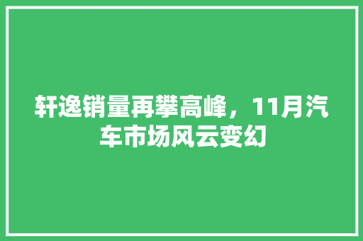 轩逸销量再攀高峰，11月汽车市场风云变幻