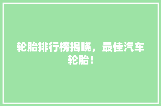 轮胎排行榜揭晓，最佳汽车轮胎！