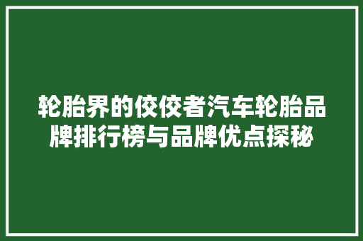 轮胎界的佼佼者汽车轮胎品牌排行榜与品牌优点探秘  第1张