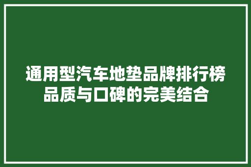 通用型汽车地垫品牌排行榜品质与口碑的完美结合