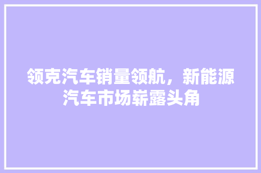 领克汽车销量领航，新能源汽车市场崭露头角  第1张