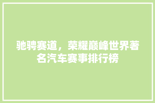 驰骋赛道，荣耀巅峰世界著名汽车赛事排行榜