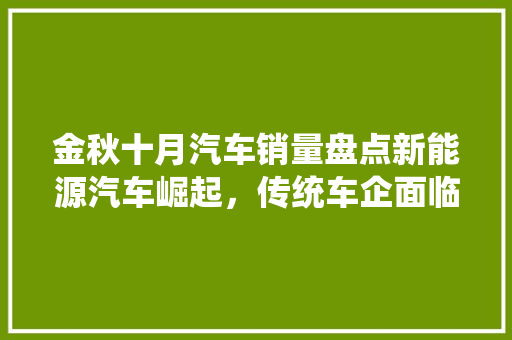 金秋十月汽车销量盘点新能源汽车崛起，传统车企面临挑战  第1张