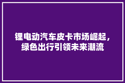 锂电动汽车皮卡市场崛起，绿色出行引领未来潮流