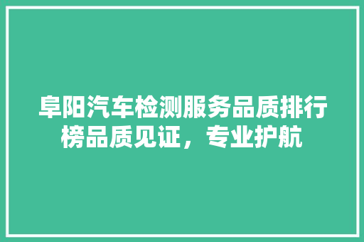 阜阳汽车检测服务品质排行榜品质见证，专业护航
