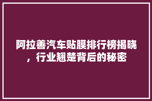 阿拉善汽车贴膜排行榜揭晓，行业翘楚背后的秘密