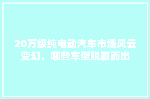 20万级纯电动汽车市场风云变幻，哪些车型脱颖而出  第1张