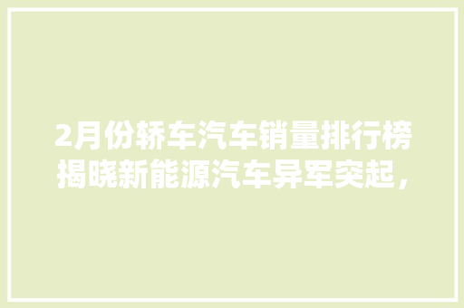 2月份轿车汽车销量排行榜揭晓新能源汽车异军突起，传统车型稳中求进  第1张