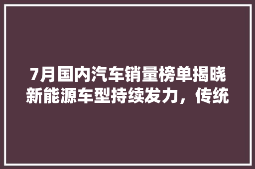 7月国内汽车销量榜单揭晓新能源车型持续发力，传统车企稳扎稳打