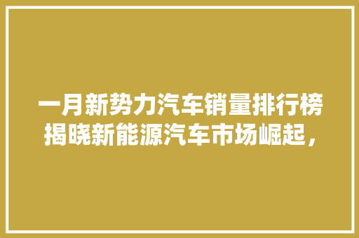 一月新势力汽车销量排行榜揭晓新能源汽车市场崛起，传统车企面临挑战