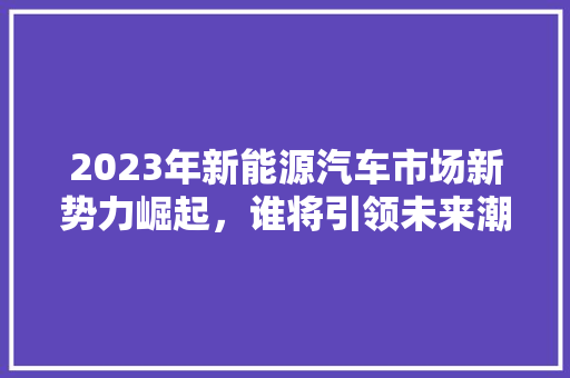 2023年新能源汽车市场新势力崛起，谁将引领未来潮流