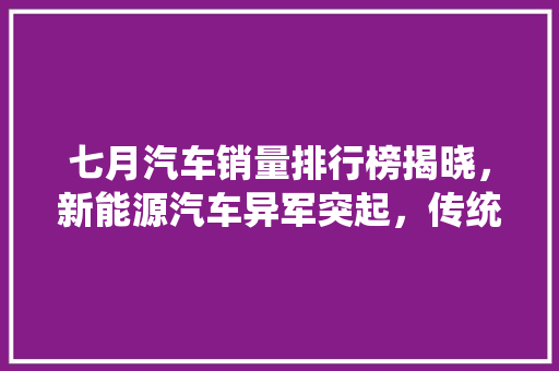 七月汽车销量排行榜揭晓，新能源汽车异军突起，传统车企面临挑战