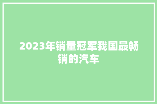 2023年销量冠军我国最畅销的汽车